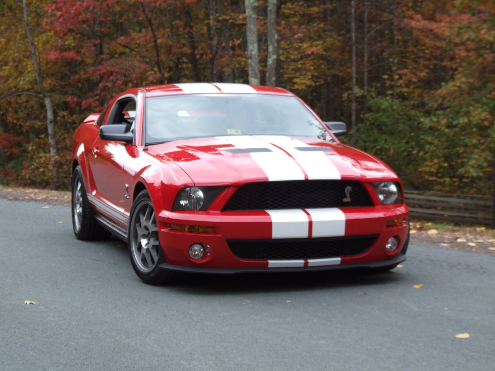 Shelby GT500