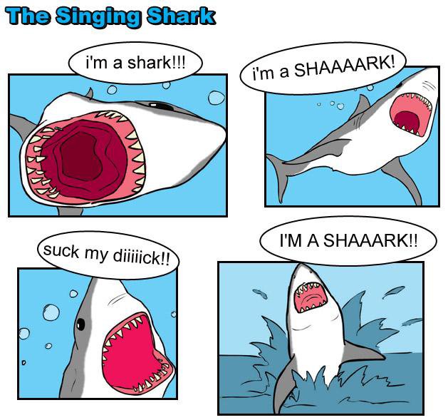 Im a Shark!