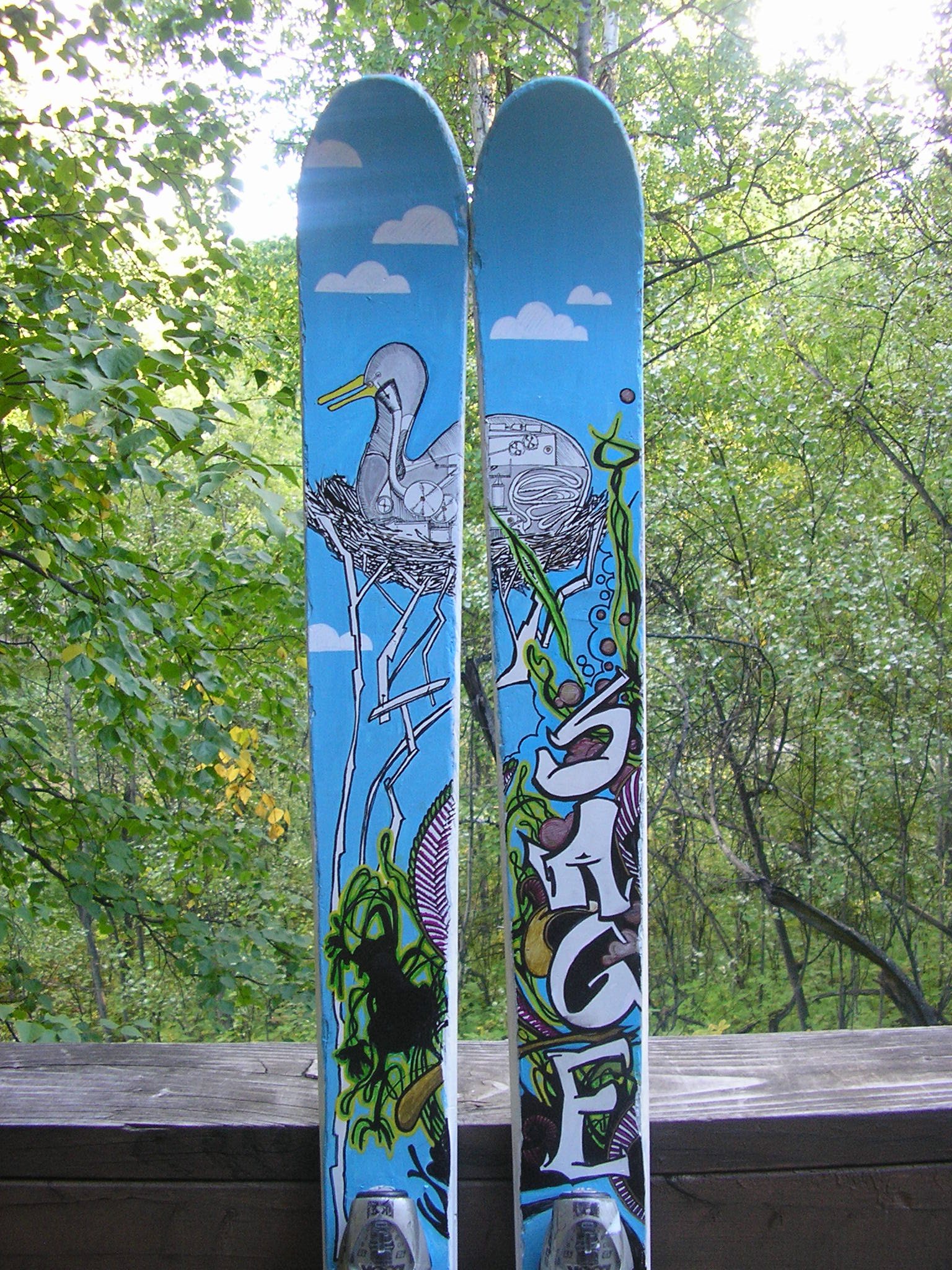 Painted skis