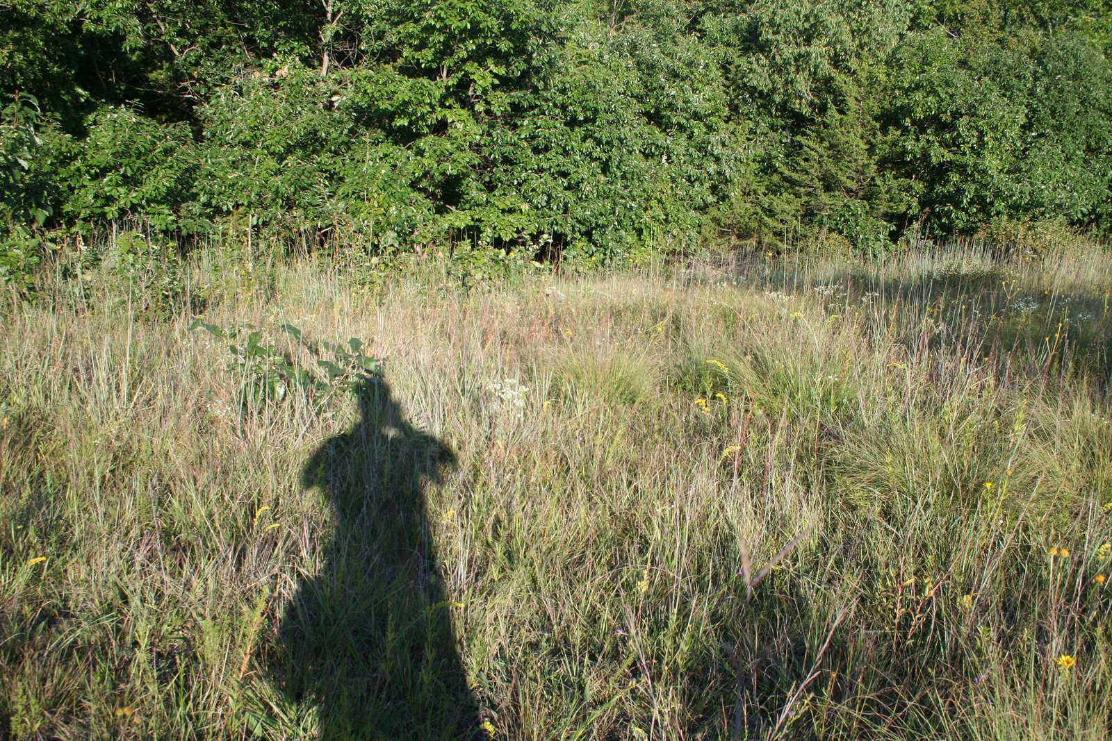 Shadow of myself