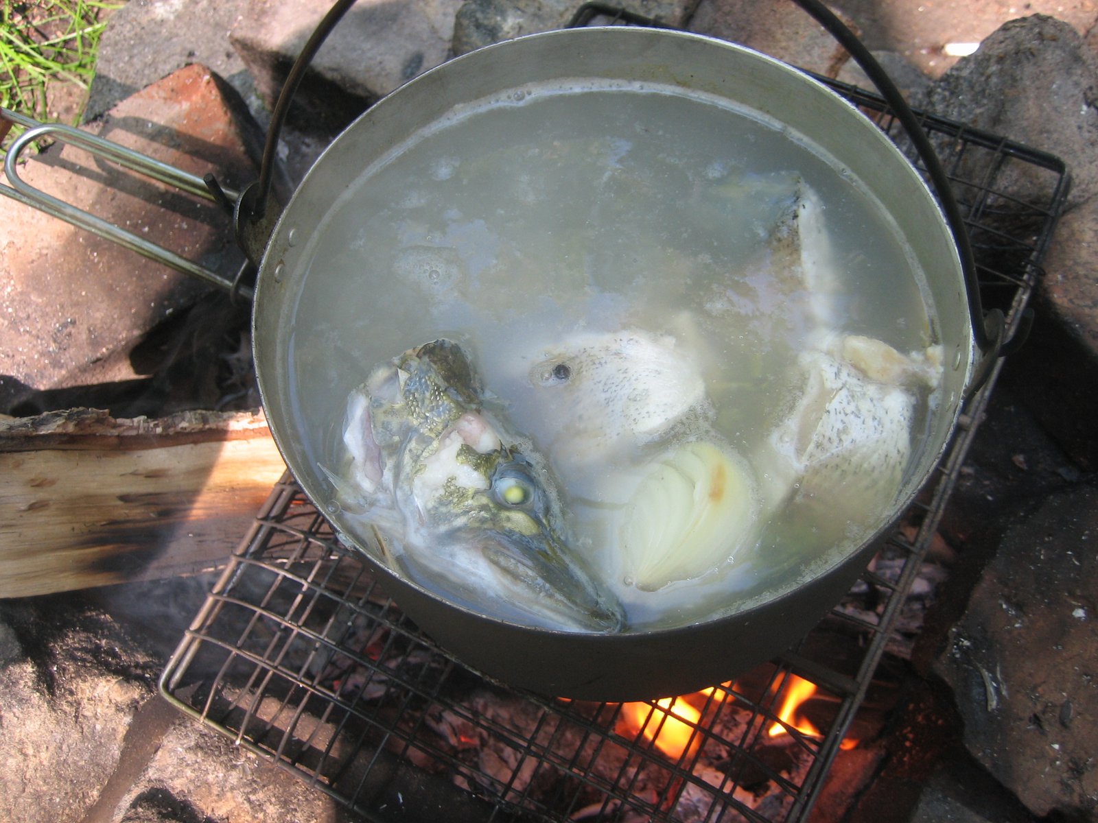 Fish soup :)