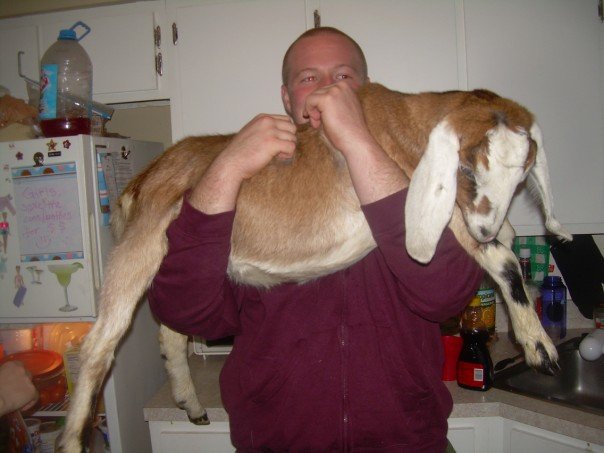 Sometimes your drunk enough to steal a goat....