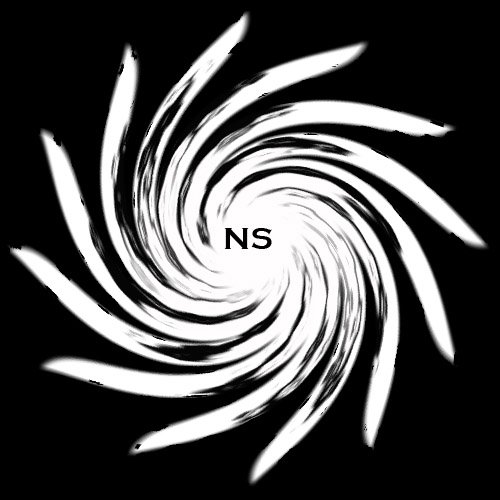 Ns logo1