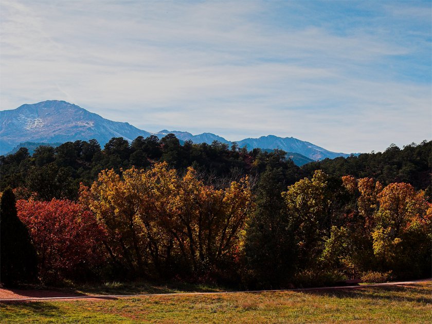 Autumn foliage