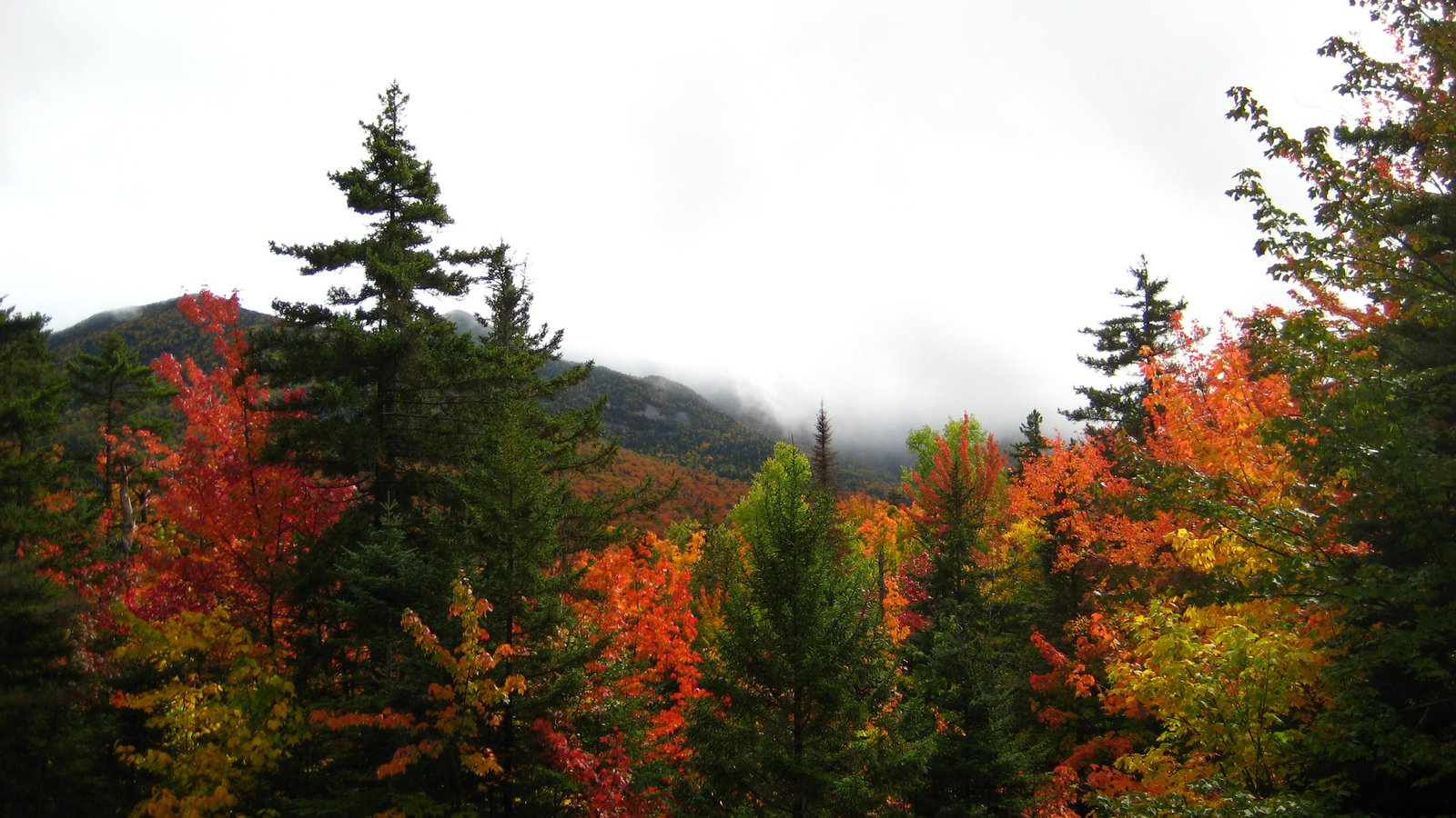Fall in the adks