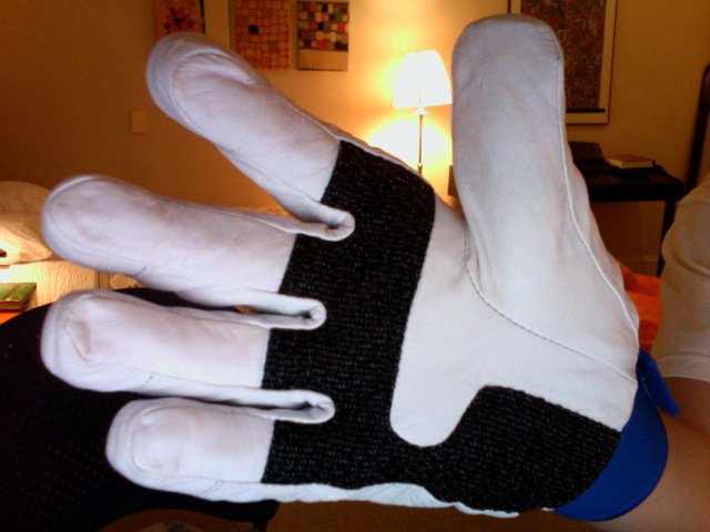 Switch Gloves