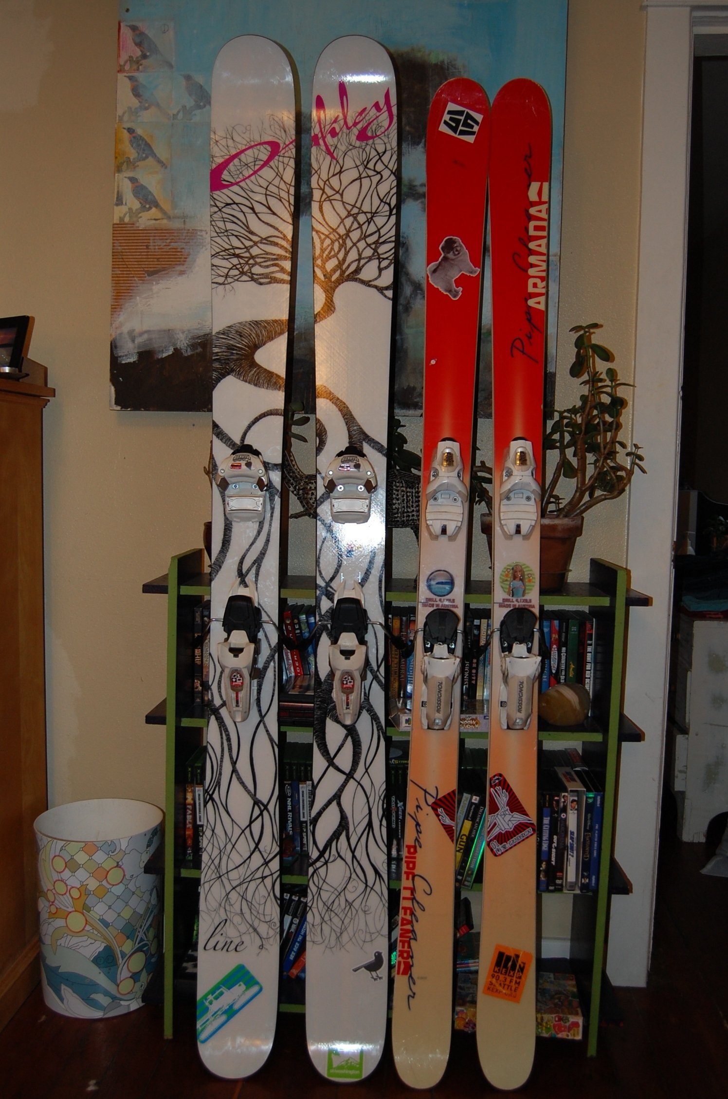 My quiver