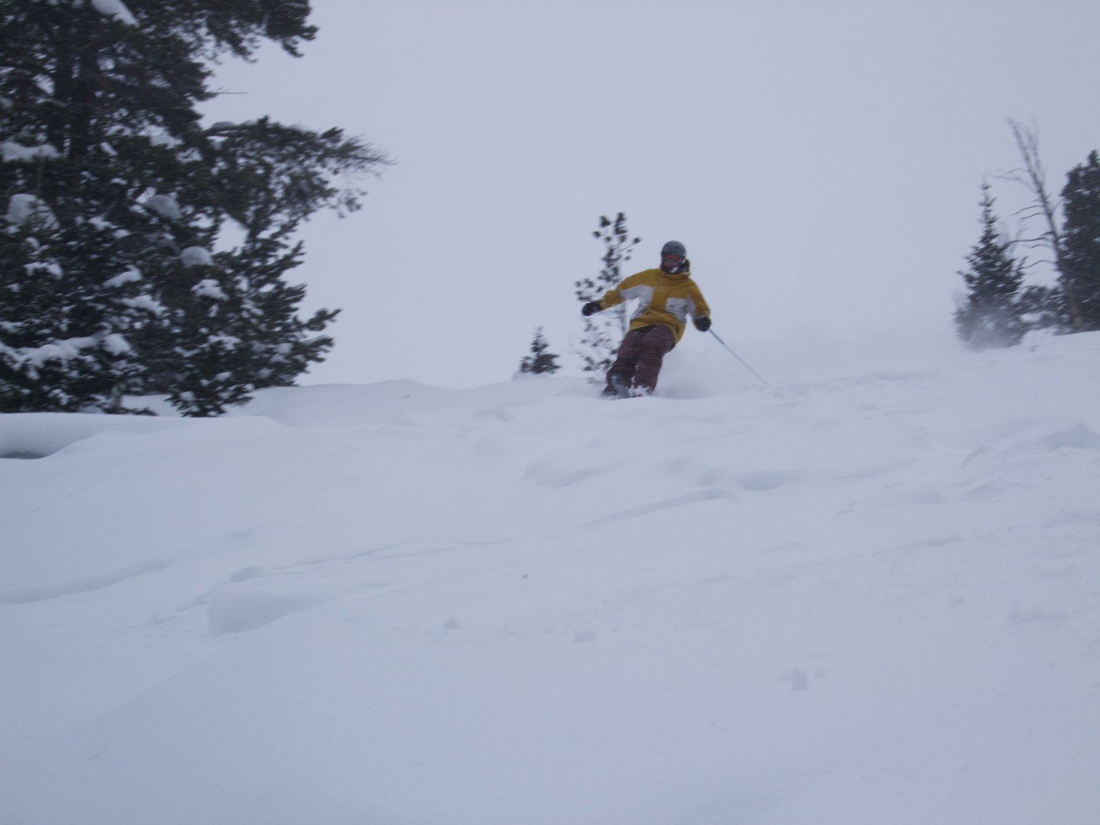 Kind of pow in Big Sky