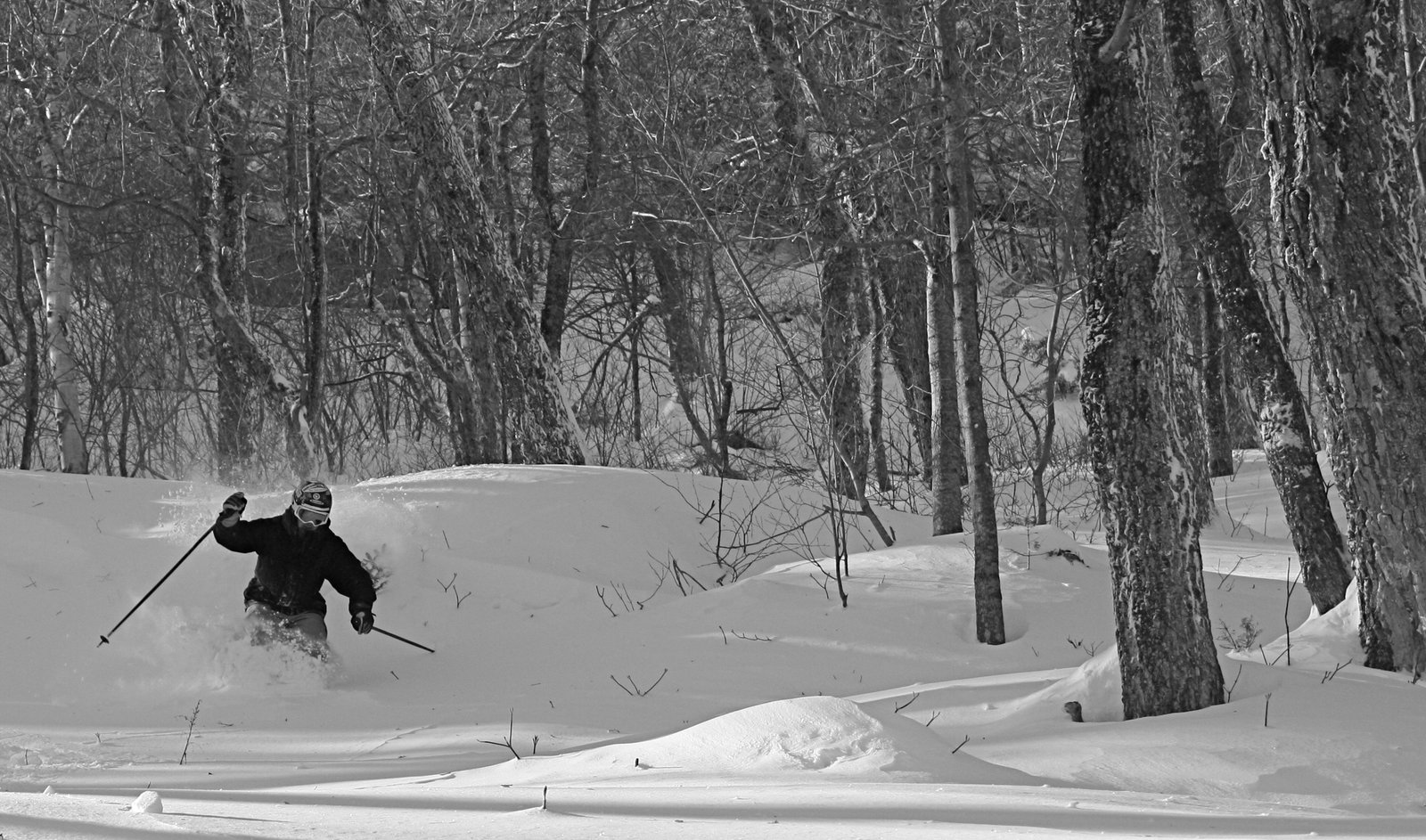 Stowe today