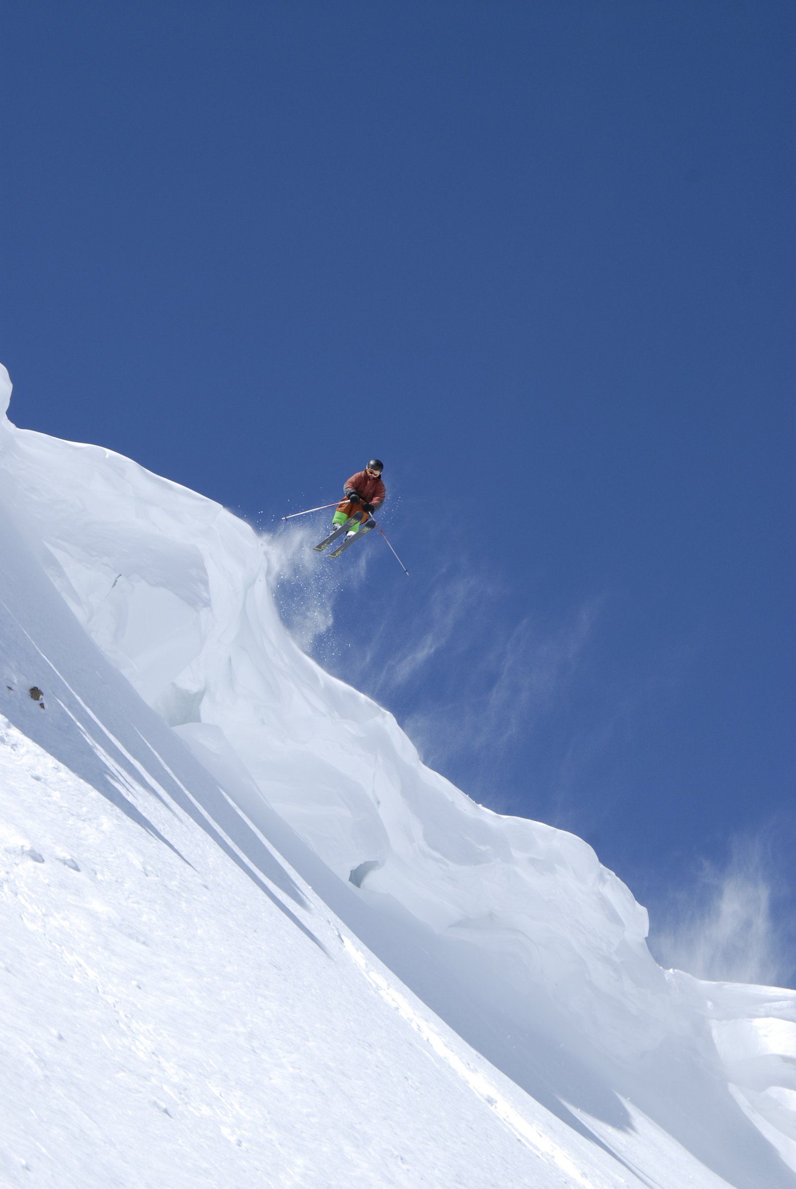 Wild Child Cornice