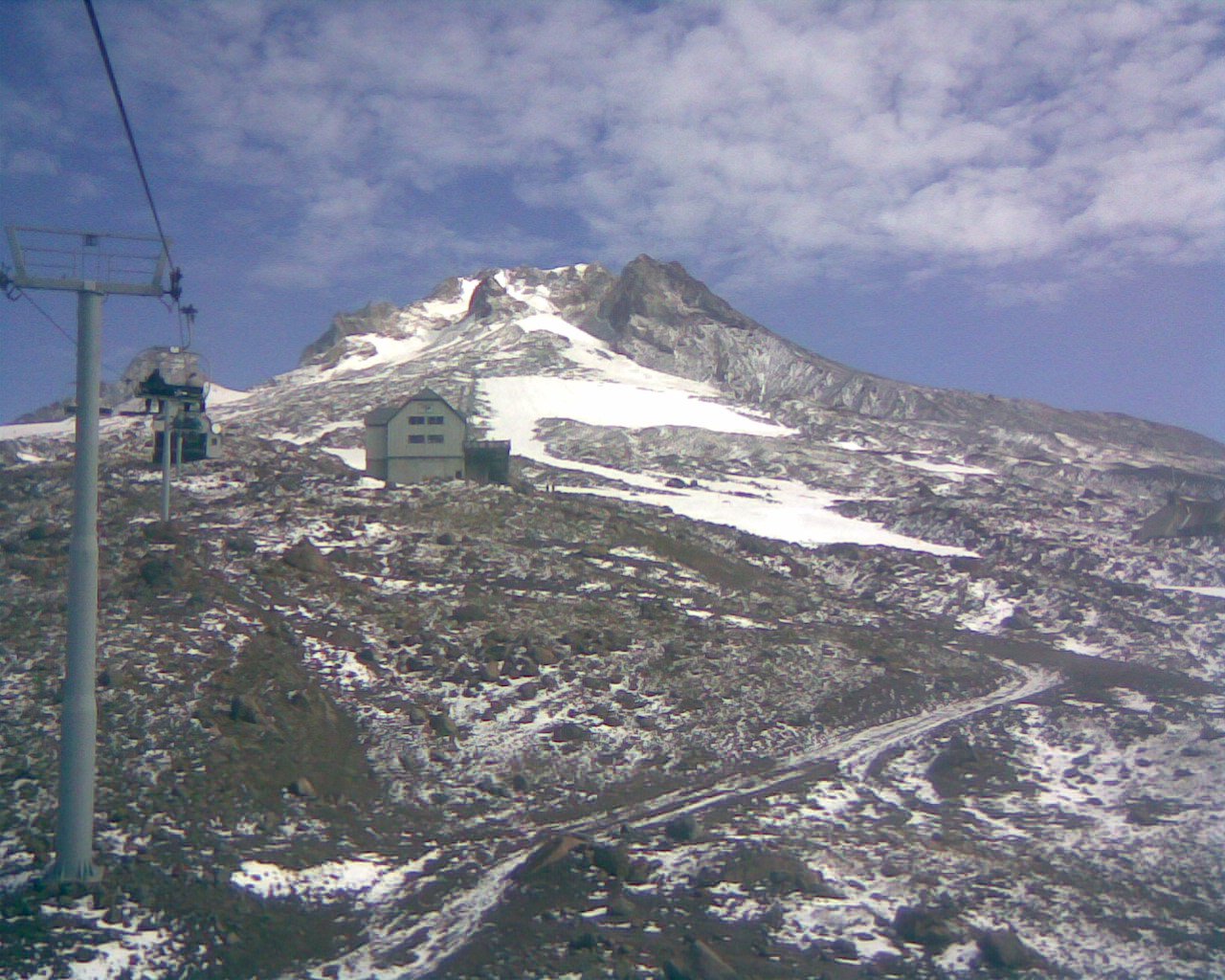 Timberline in the Summer