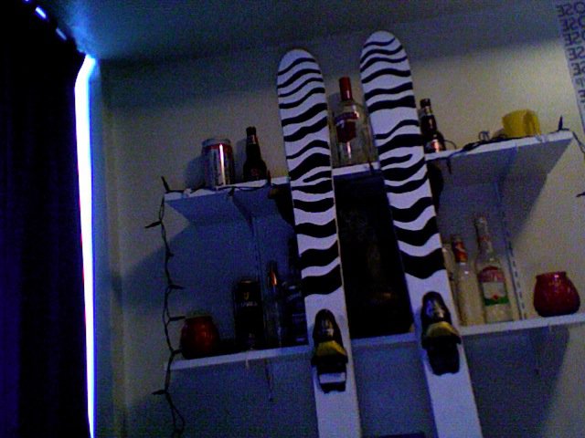 Zebra skis, top