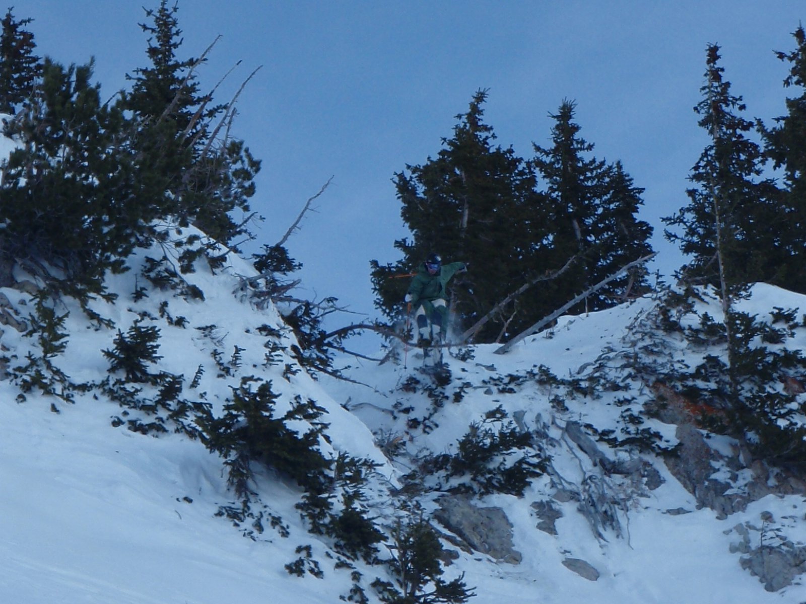 Snowbird cliff
