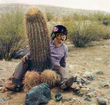 Thall cactus
