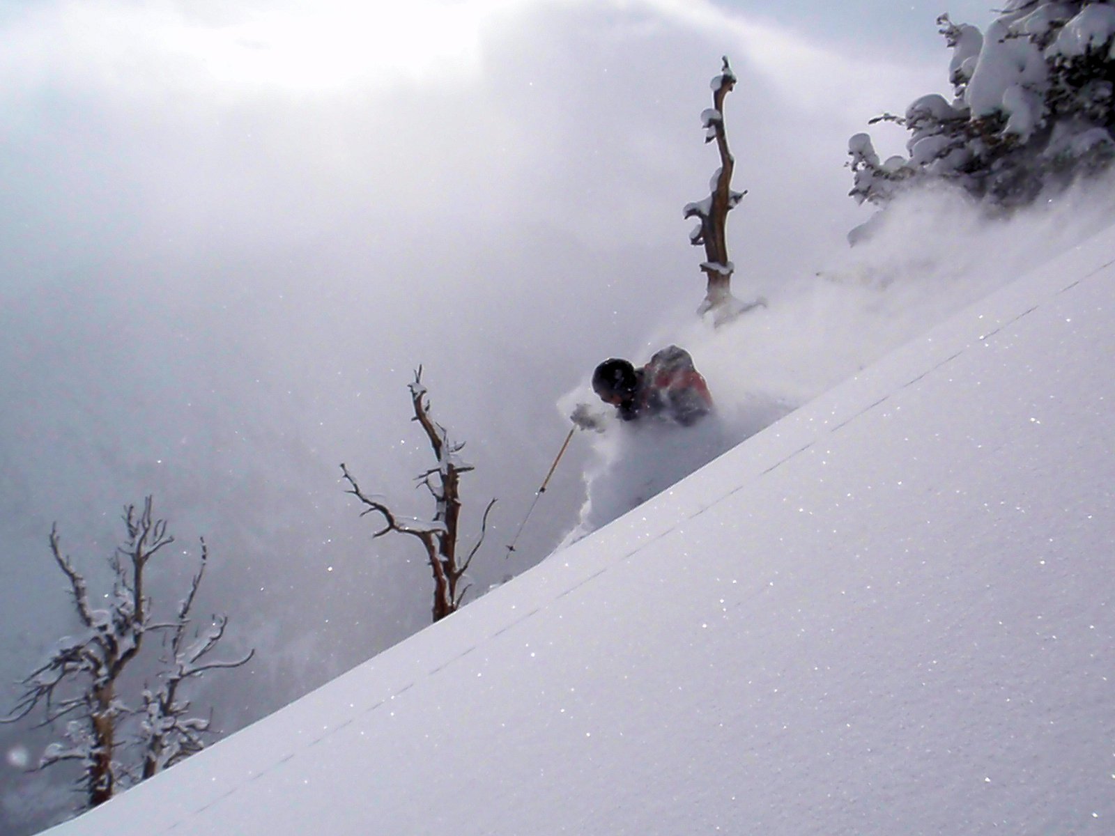 More Wasatch Pow 2