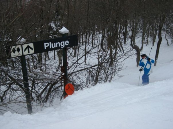 The plunge!!!!!!