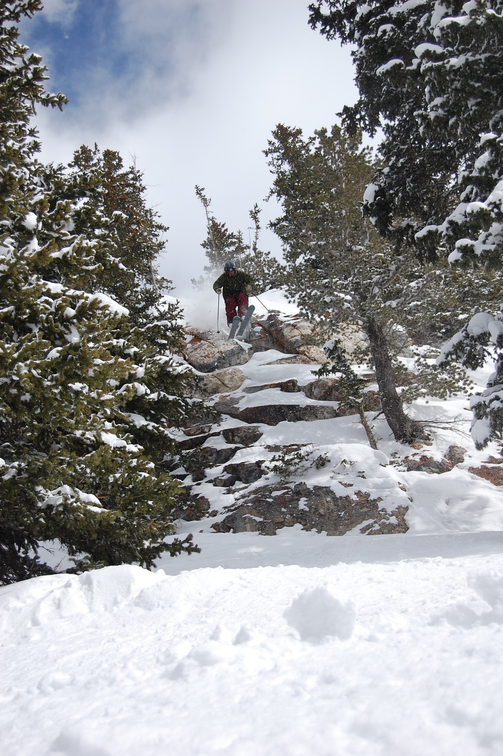 Snowbird cliff