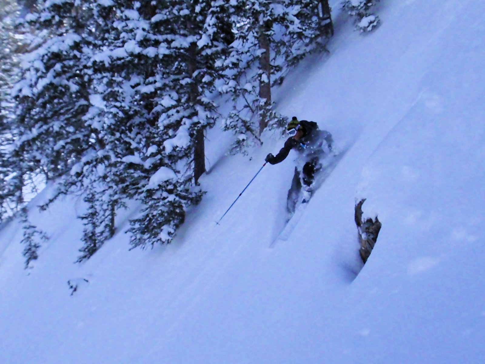 Wasatch pow 7