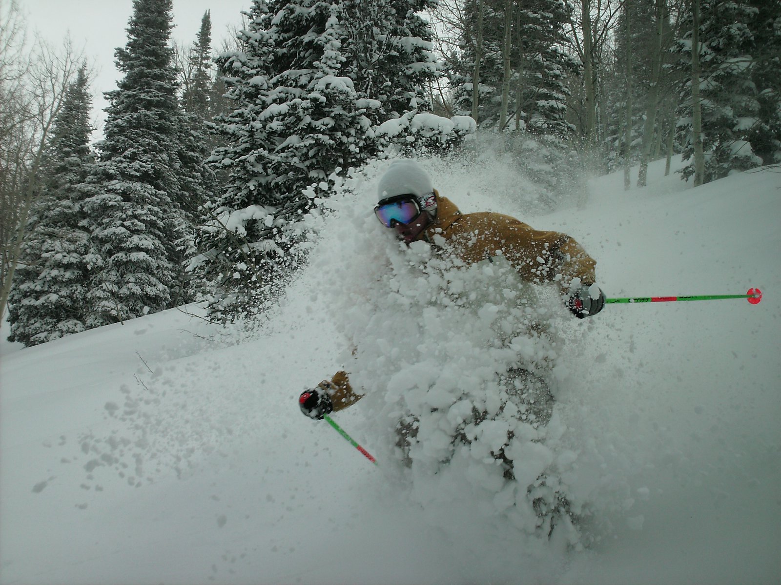 Powder yesterday at snowbasin