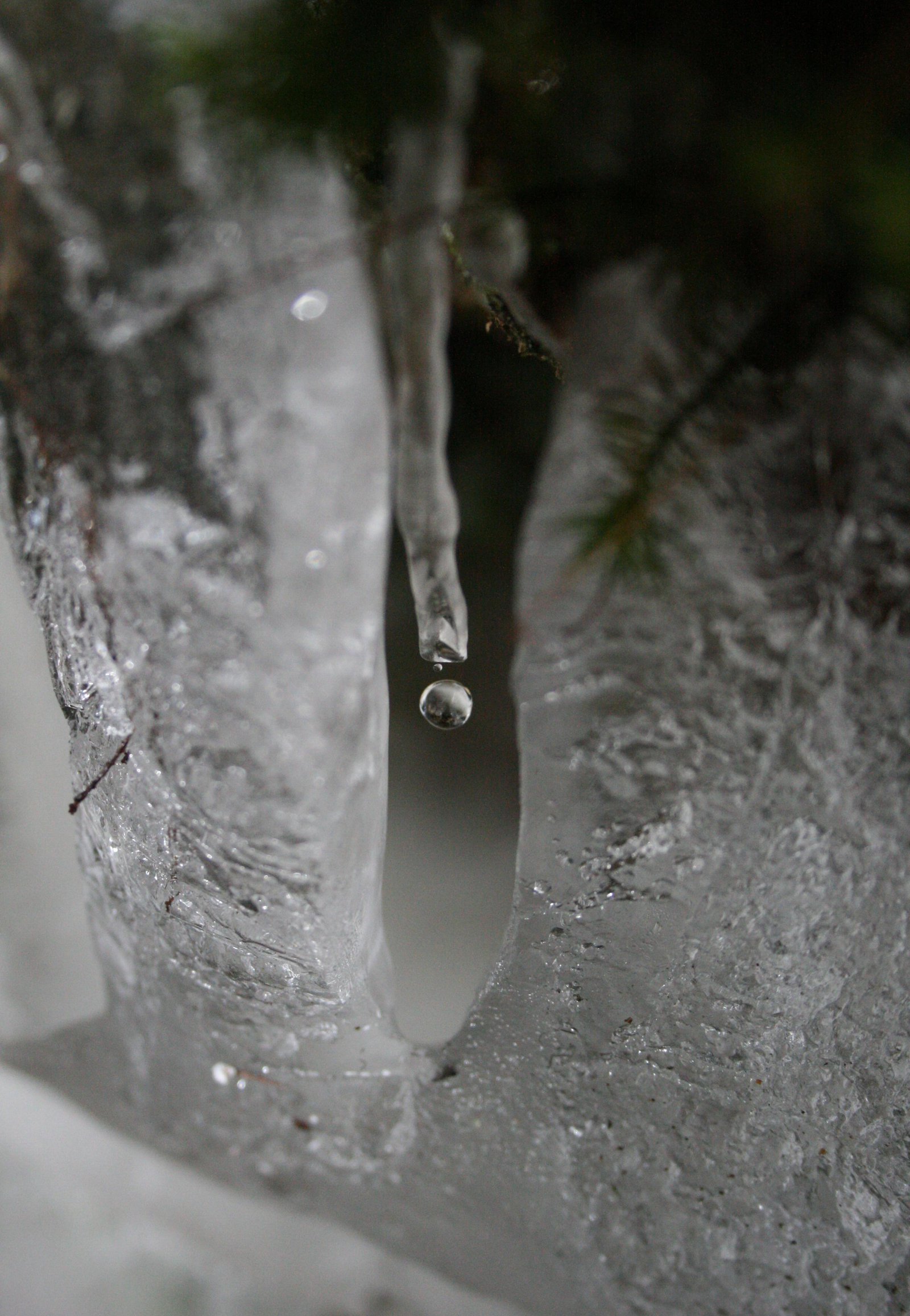 Droplet off Icicle