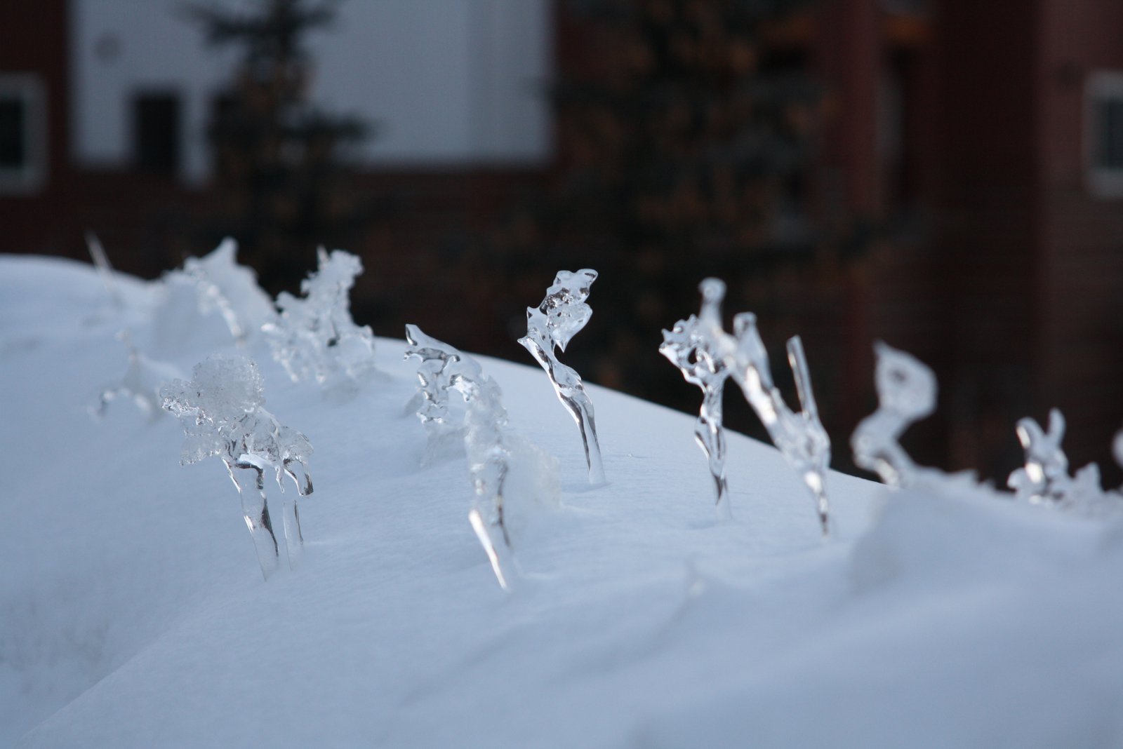 Ice figures