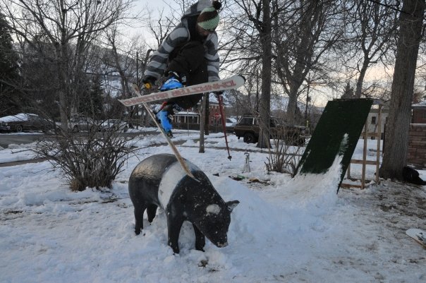 Taping the Pig