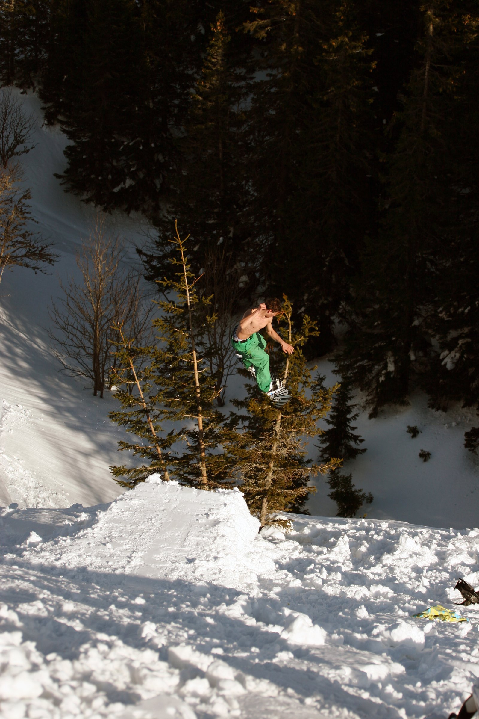 Snowboard treebonk #1