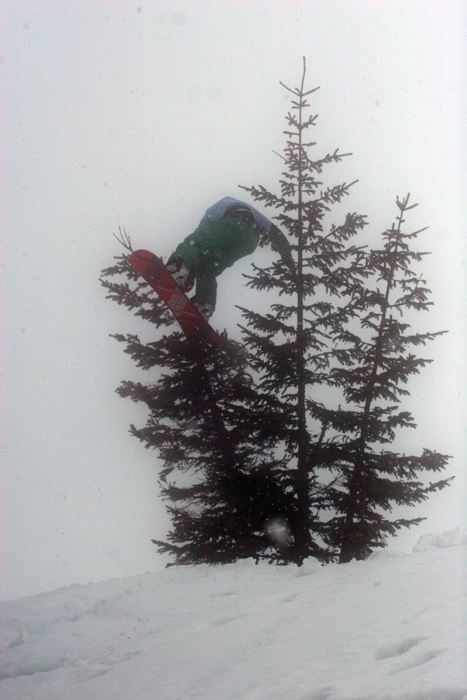Snowboard treebonk #2