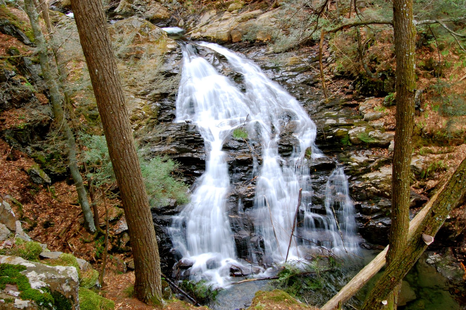 4/20 hike