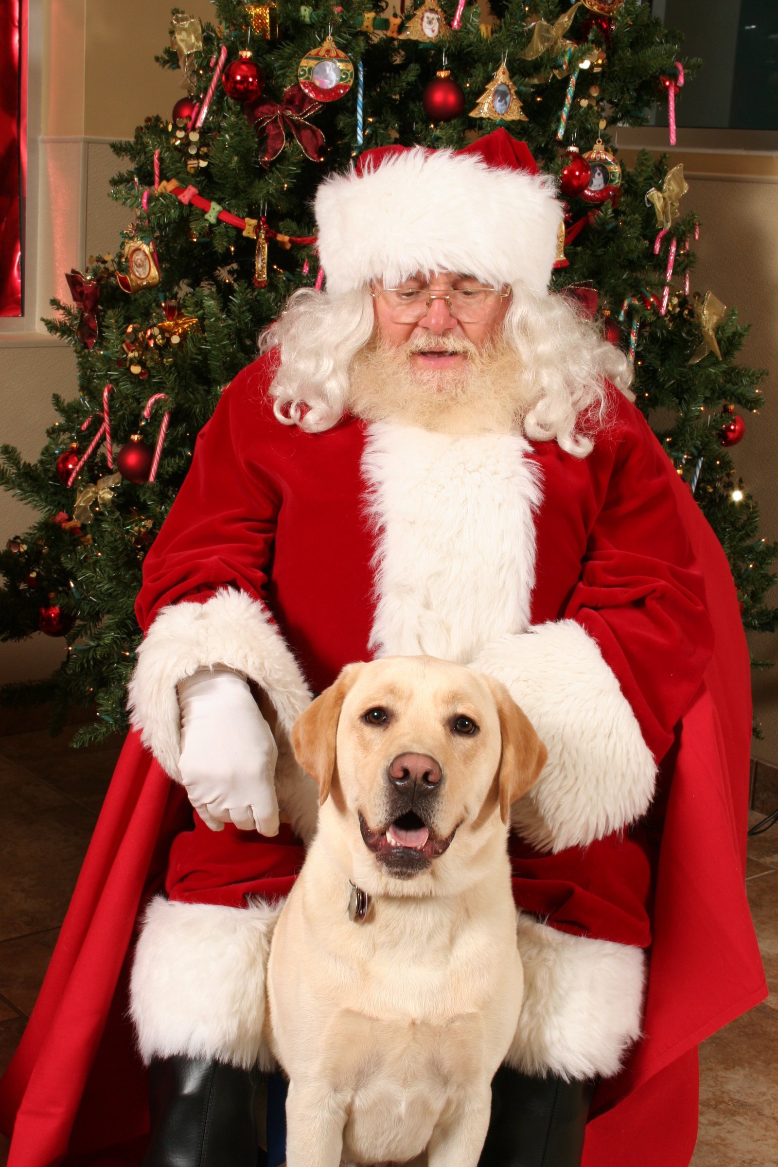 Dog and Santa