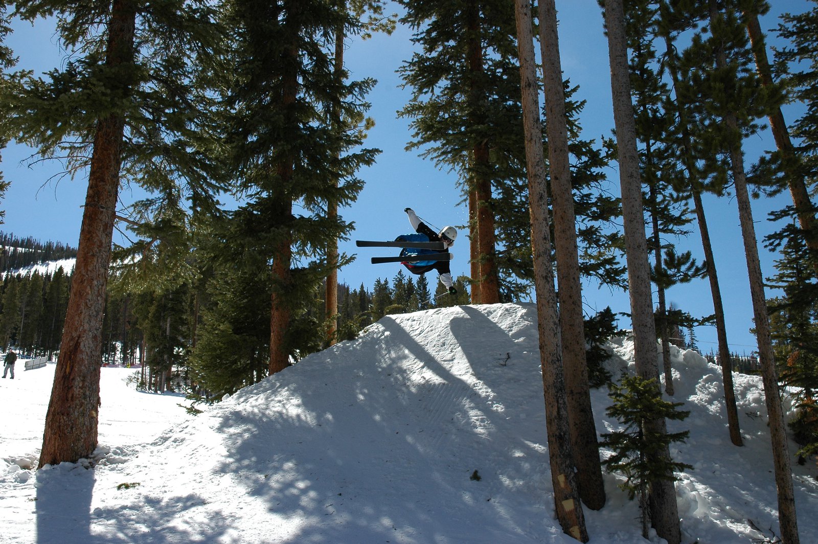 Tree skiing