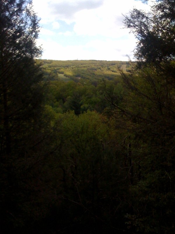 My local mountain from my house