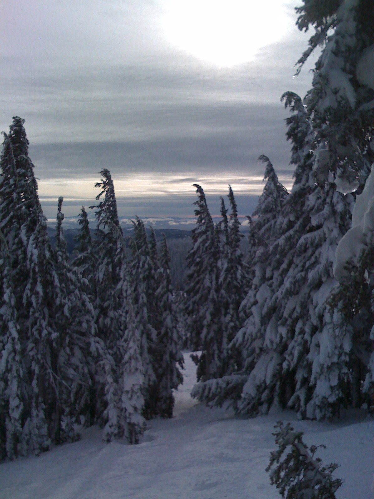 Good spot for lunch at Meadows