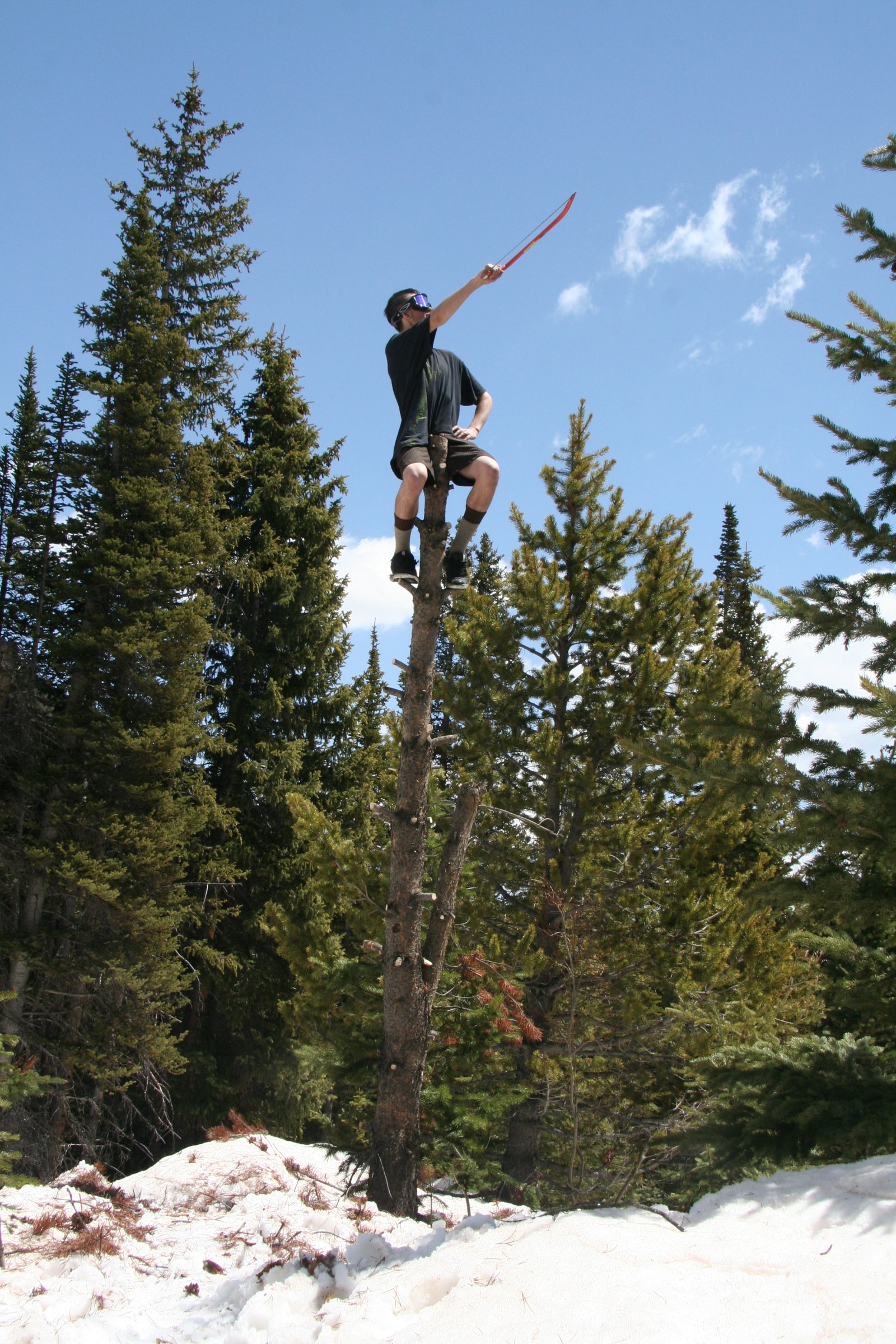 Skyward