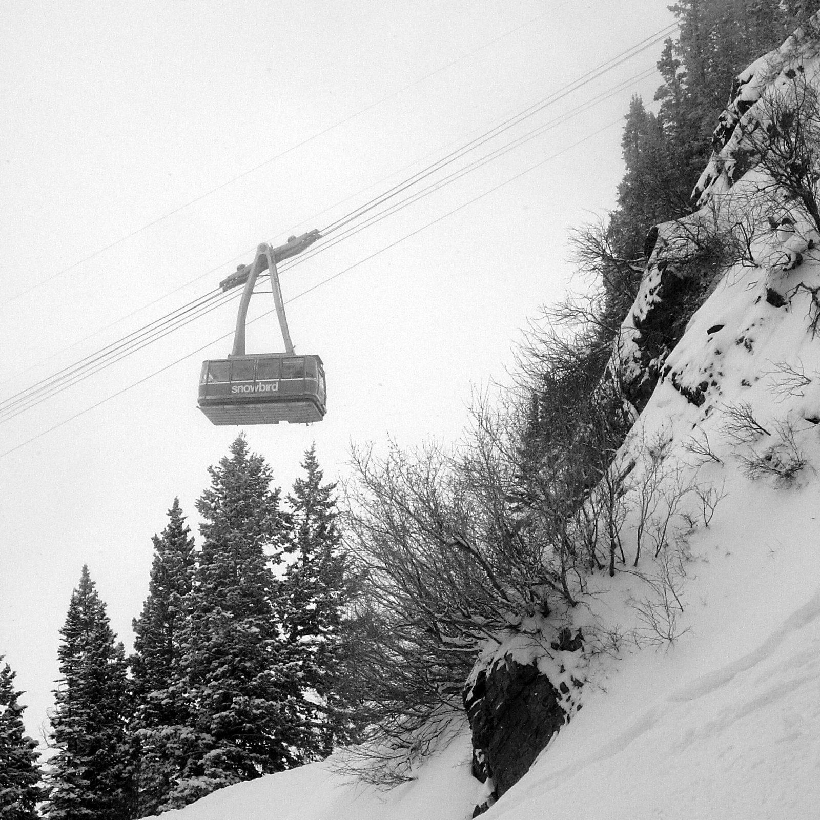 Snowbird Tram