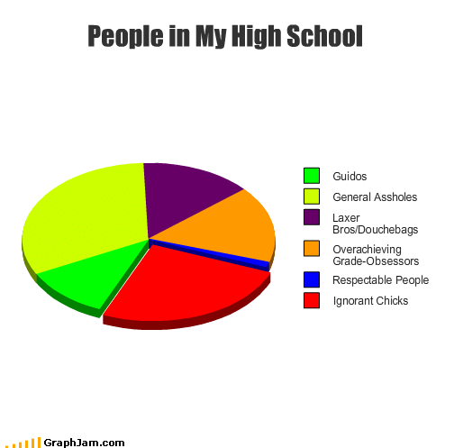 Pie chart of people in my high school