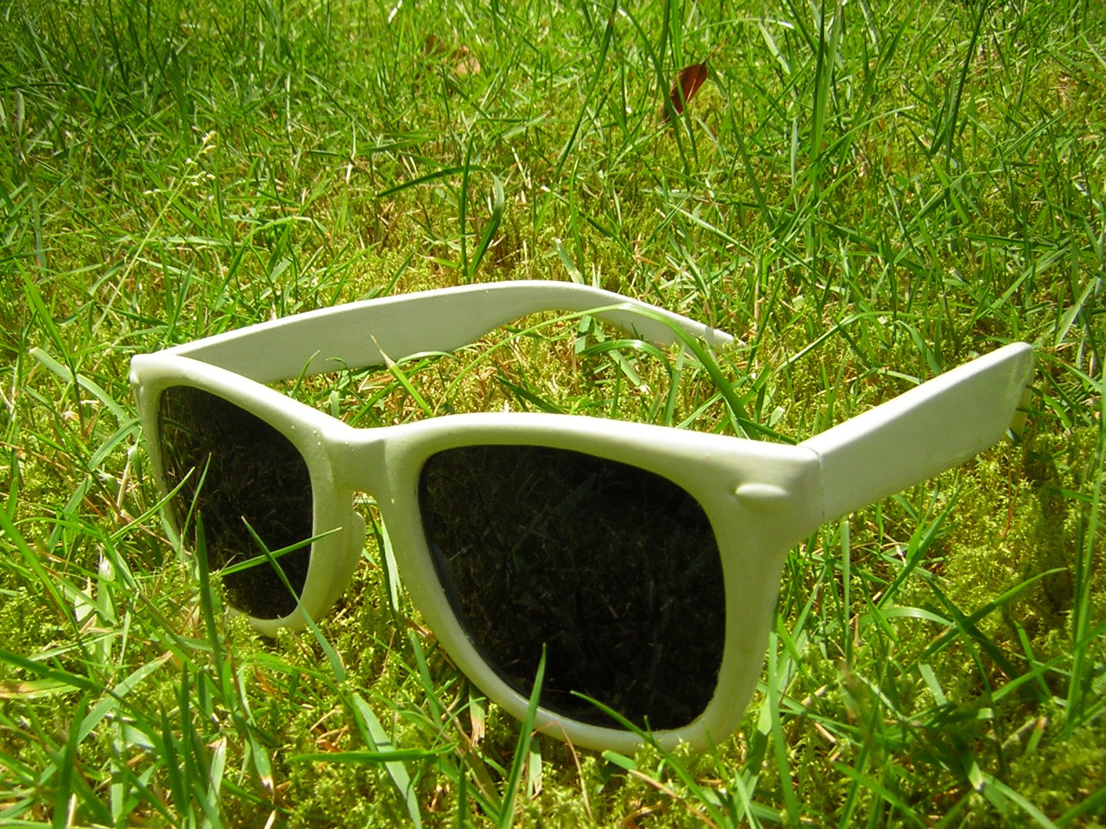 Wayfarer white