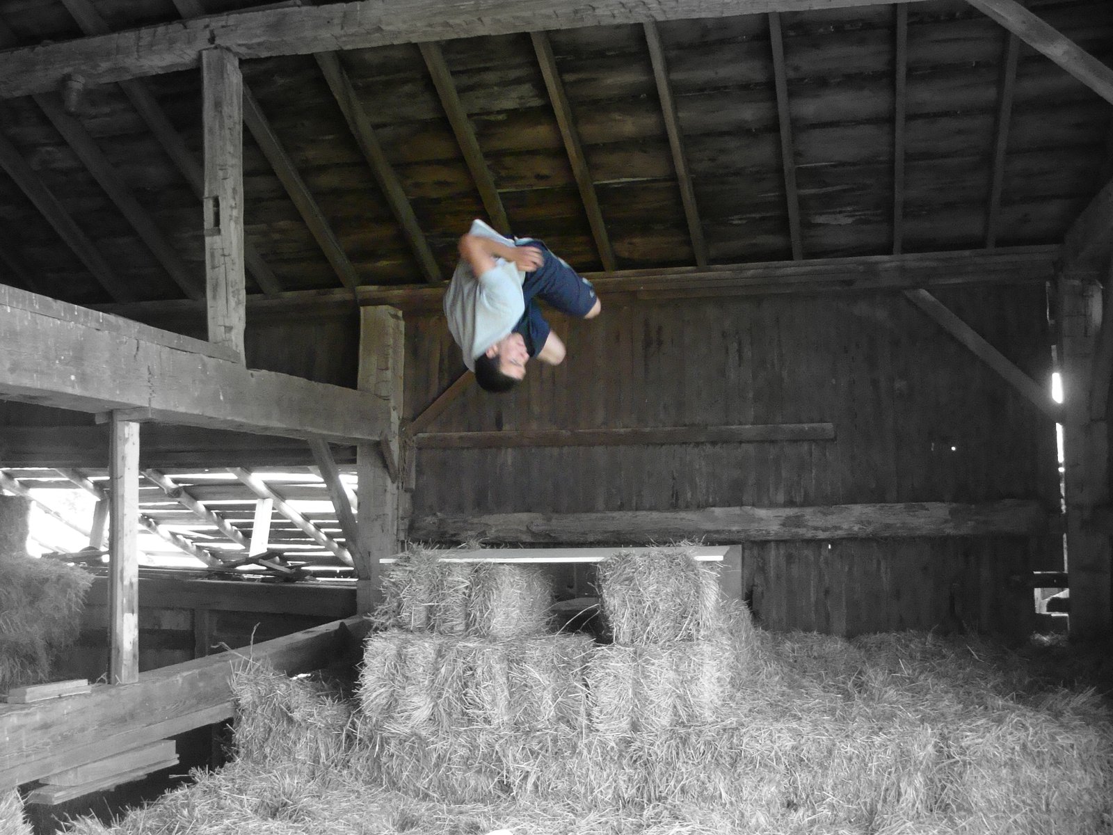 Goin Big in the Hay