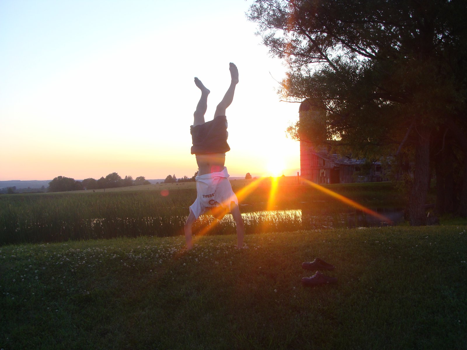 Hand stand in sunset