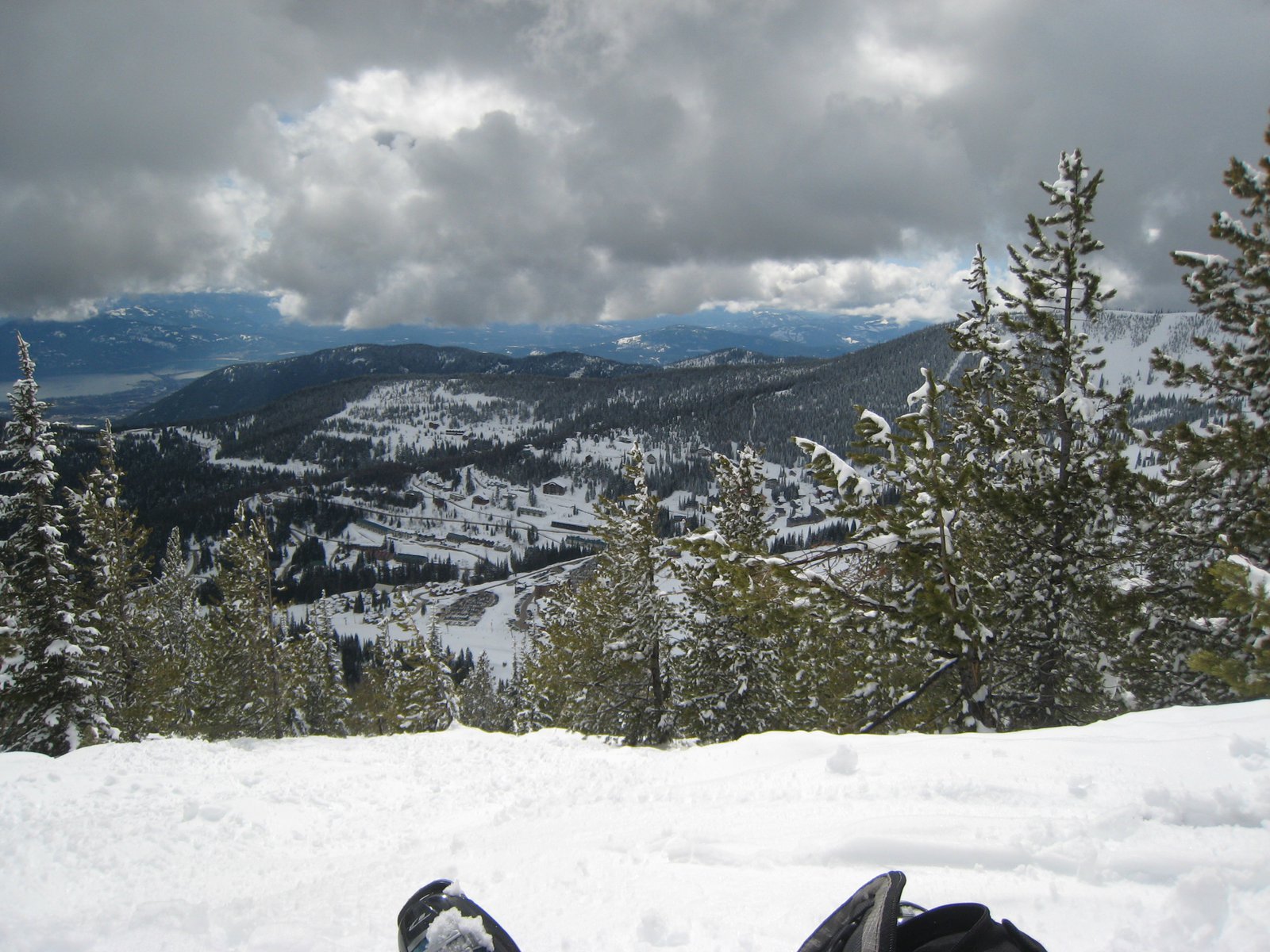 Spring at Schweitzer