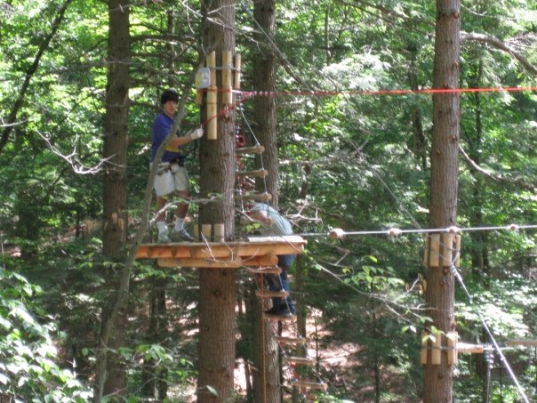 Up in a tree 60 ft above ground