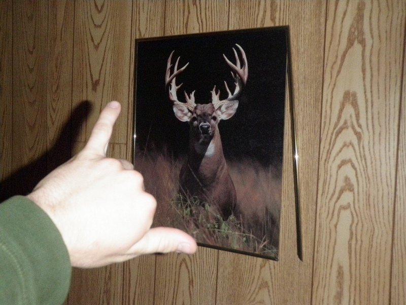 Buck I shot