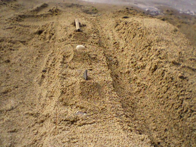 Sand Terrain Park Jib Line