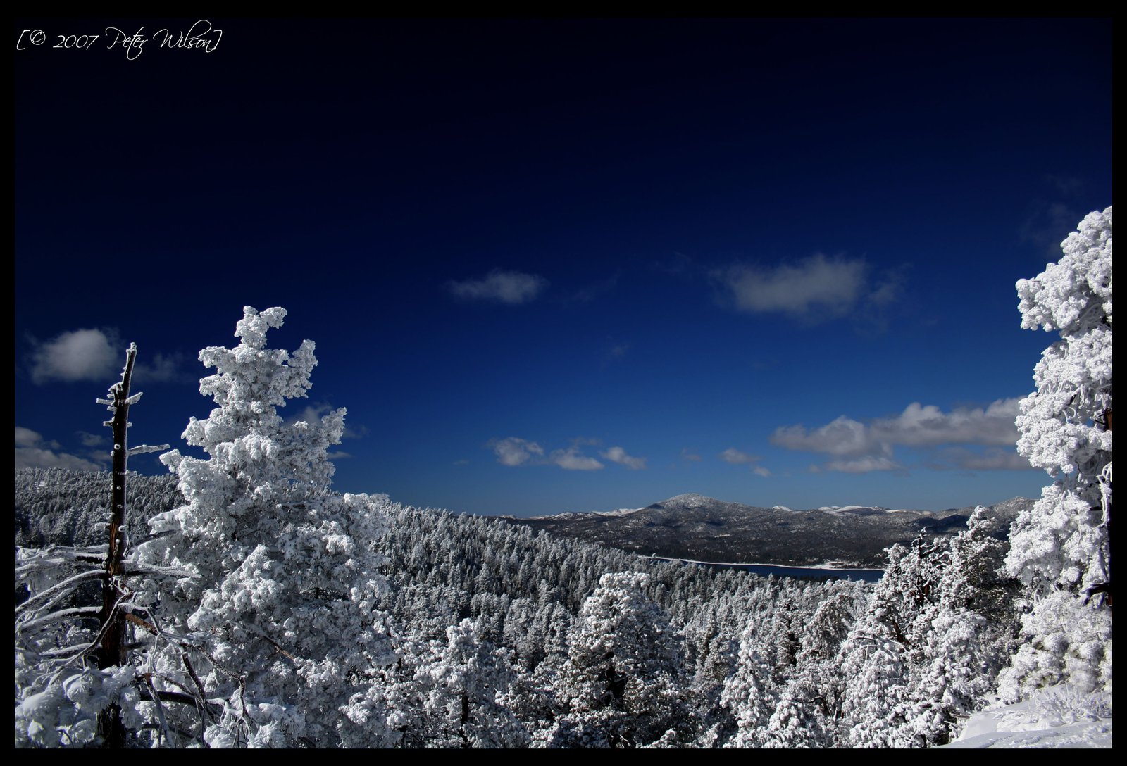 Bluebird Day...