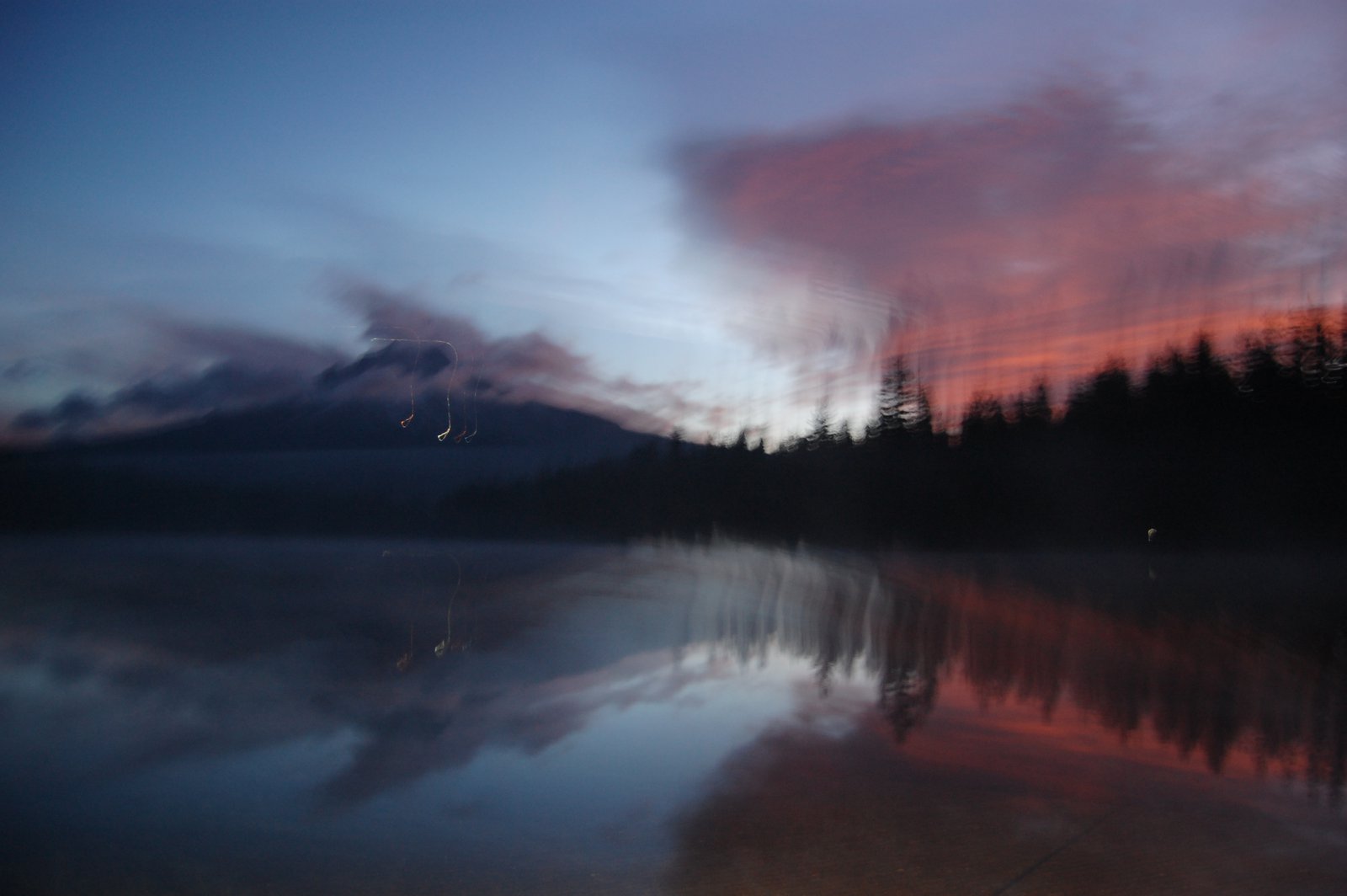 Trillium sunrise