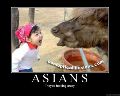 Asians- Insane