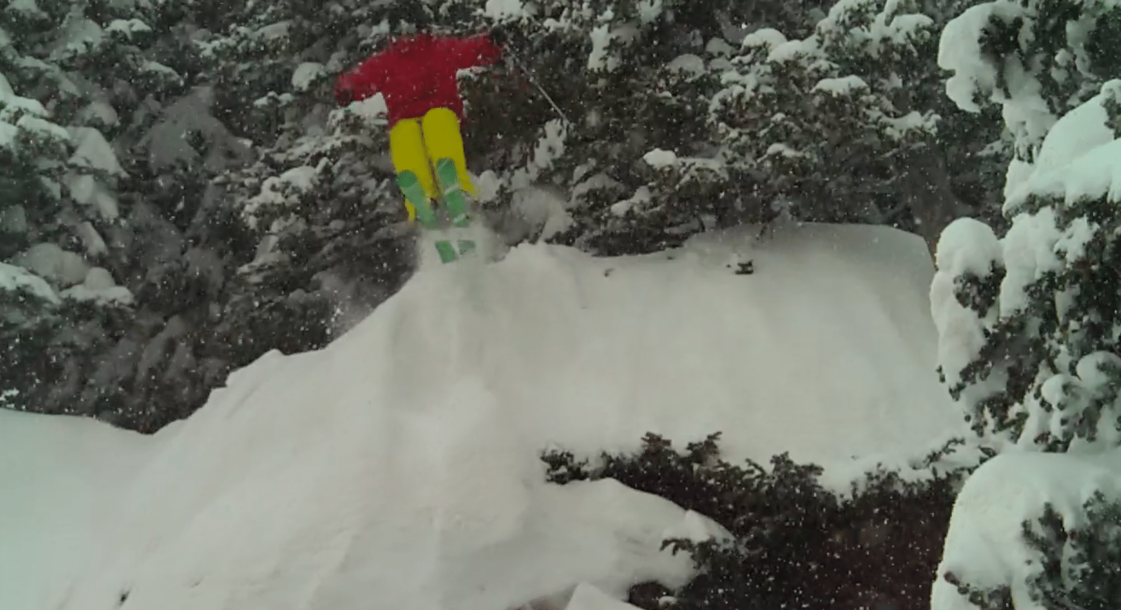 Pow in Vail