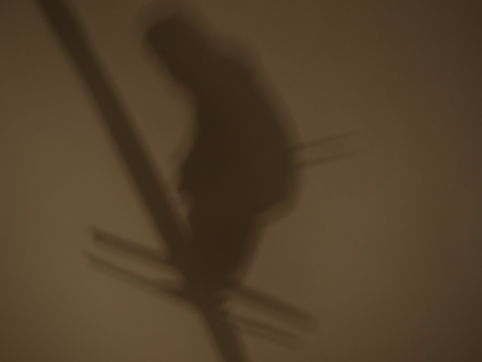 Shadow Skier