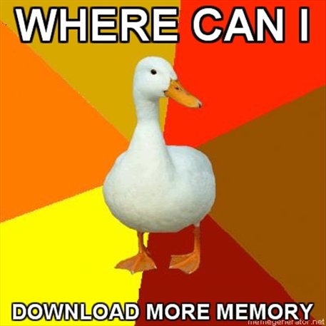 Memory duck