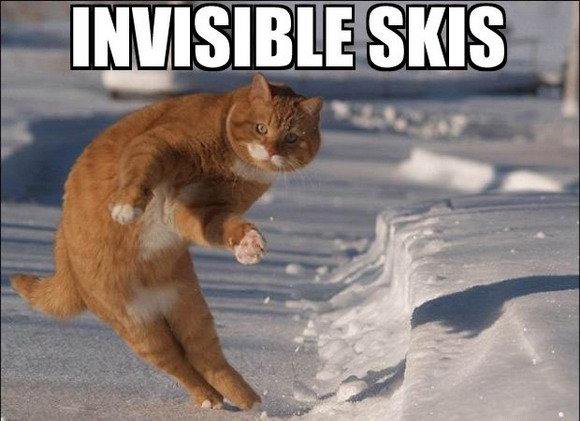 Invisible skis